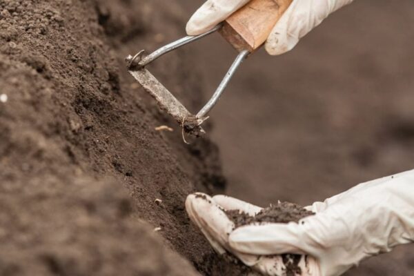 Using Soil Testing Services as The First Step in Contamination Prevention
